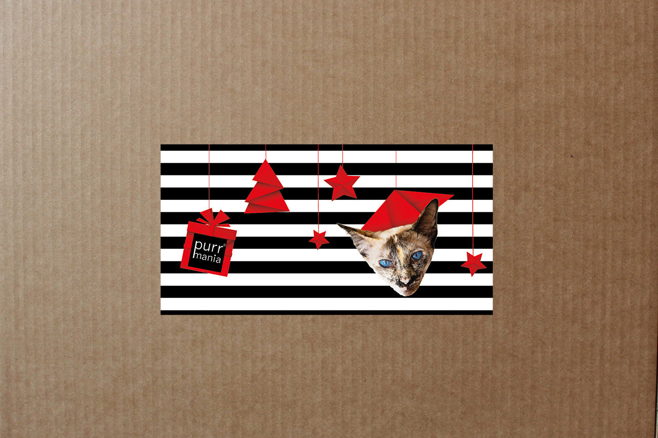 Early-bird-Preis: Katzen-Adventskalender 2025