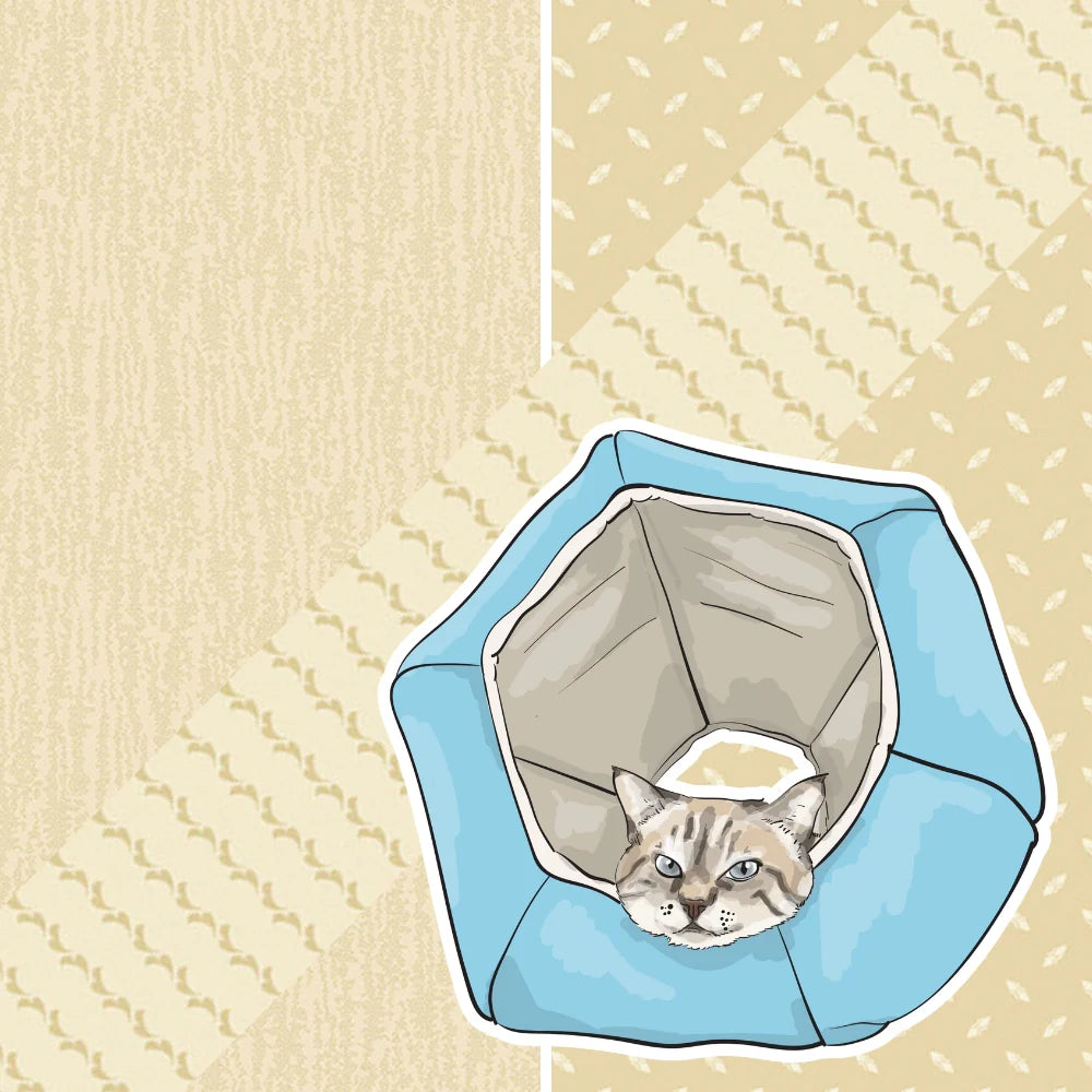 The Cat Ball Neutral Butter Bark