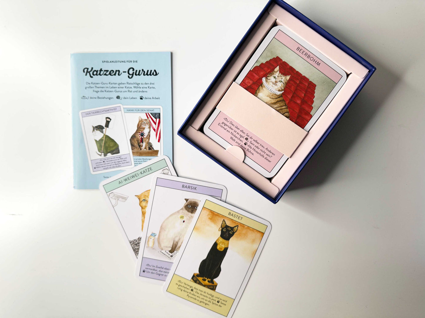 Katzen Gurus