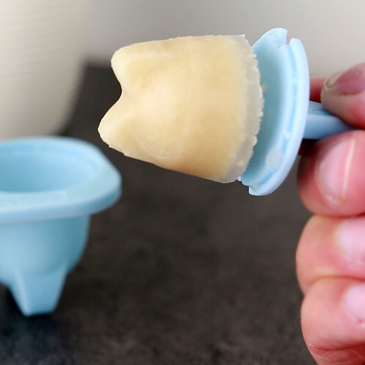 Katzeneispulver: Superfood Ice Cream for Cats 70 Gramm