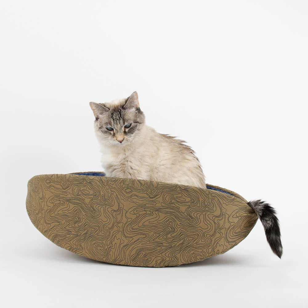 The Cat Canoe Topografical Map