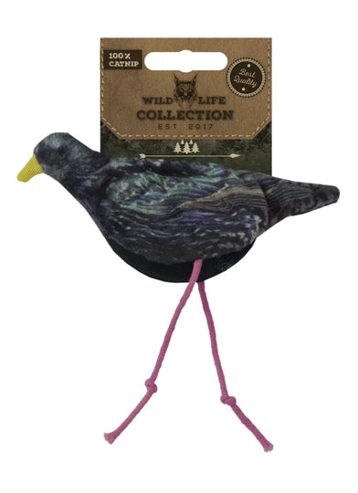 Wild Life Starling mit Catnip (Star)