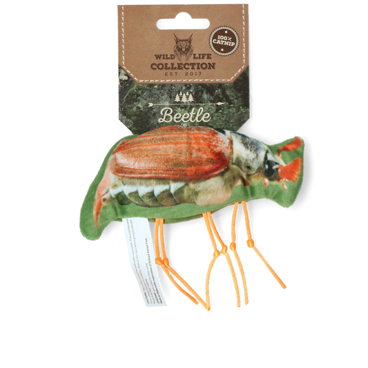 Wild Life Cat Beetle (Käfer)