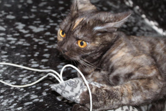 crunchy roll skulls grey