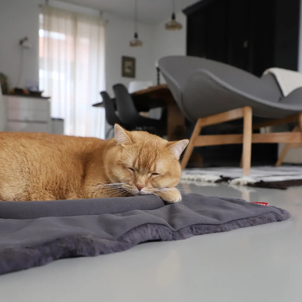 Hoopo Flip - Katzenbett Dunkelgrau