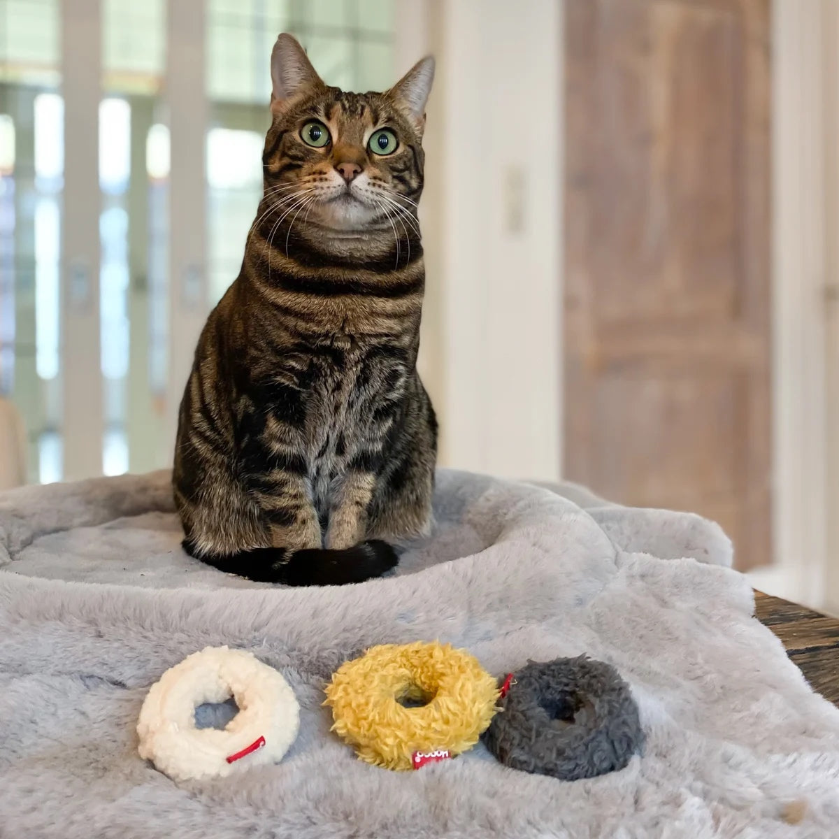 Hoopo Mini Donuts 3er Pack Farbsortiert