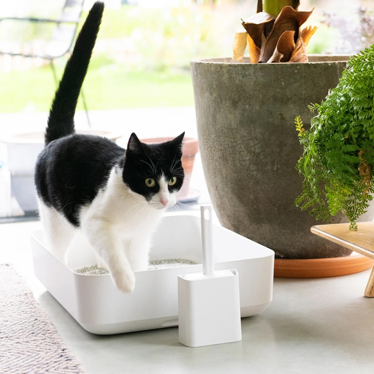 Hoopo Poh - Katzenklo - weiß