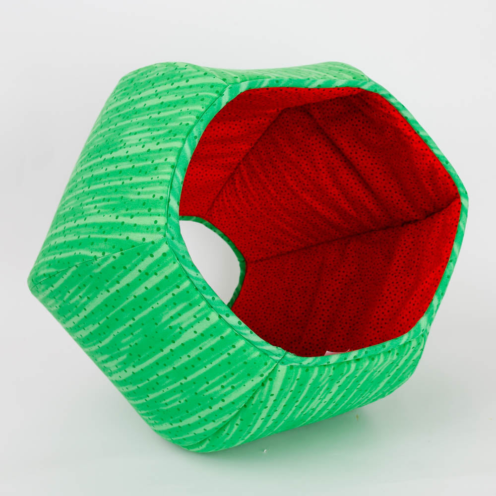 The Cat Ball Abstract Watermelon