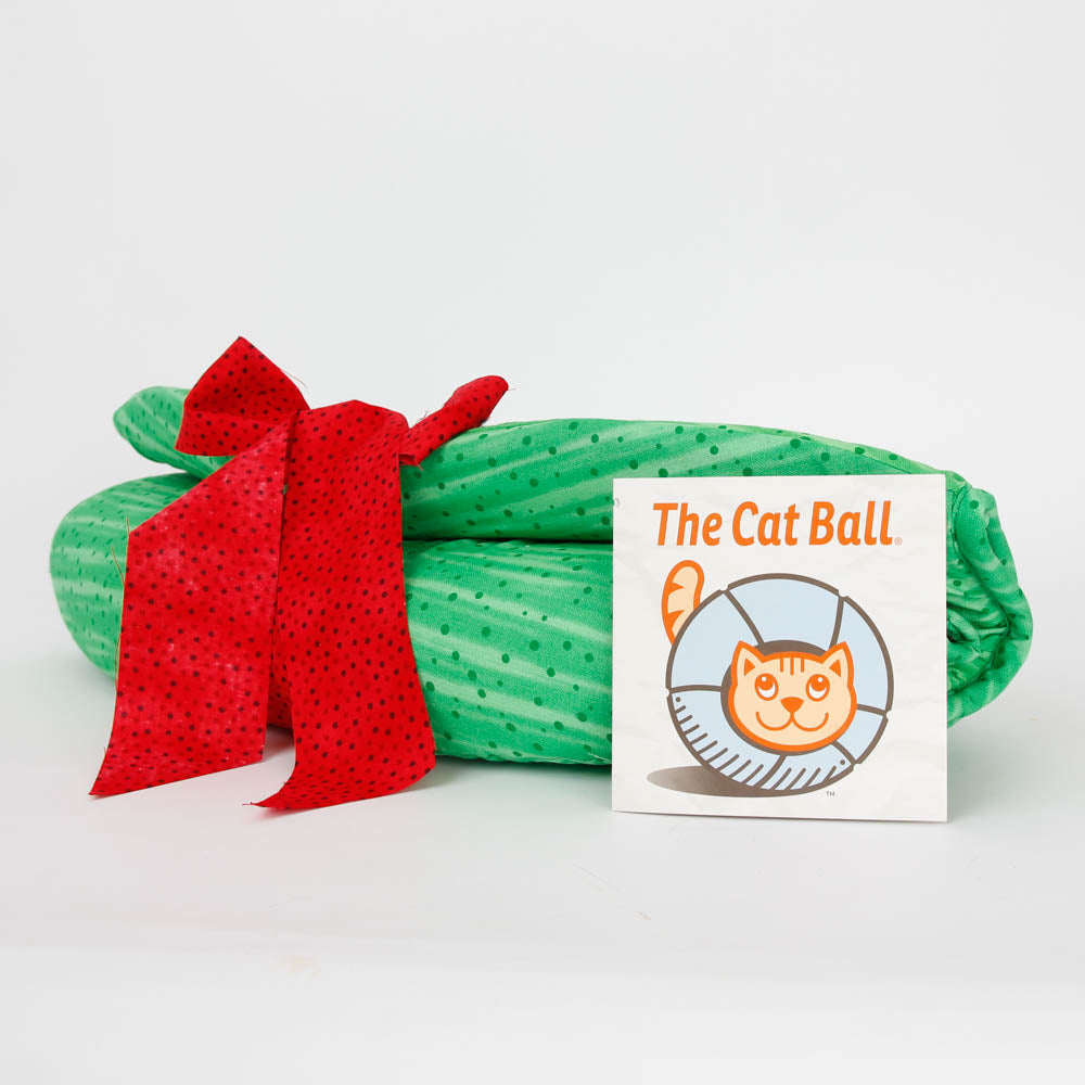 The Cat Ball Abstract Watermelon