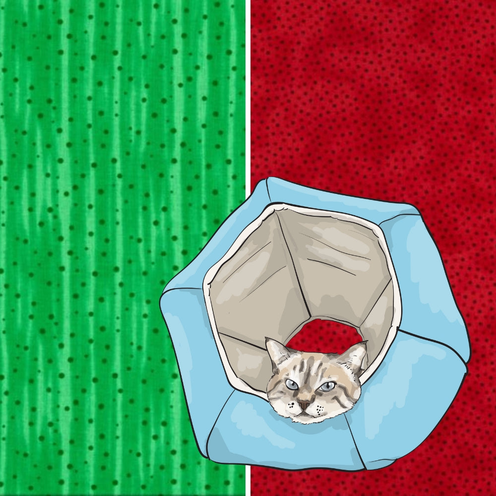 The Cat Ball Abstract Watermelon