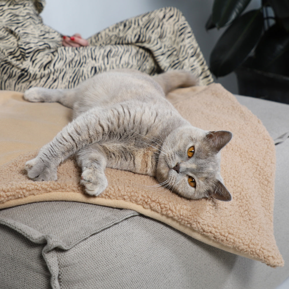 Hoopo Tri - Katzendecke - verschiedene Farben