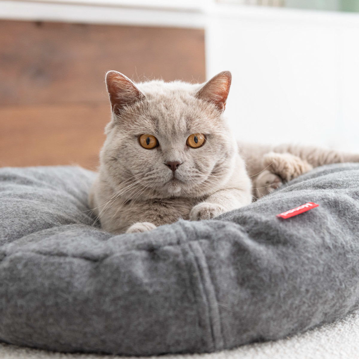 Hoopo Donut - Katzenbett - verschiedene Farben