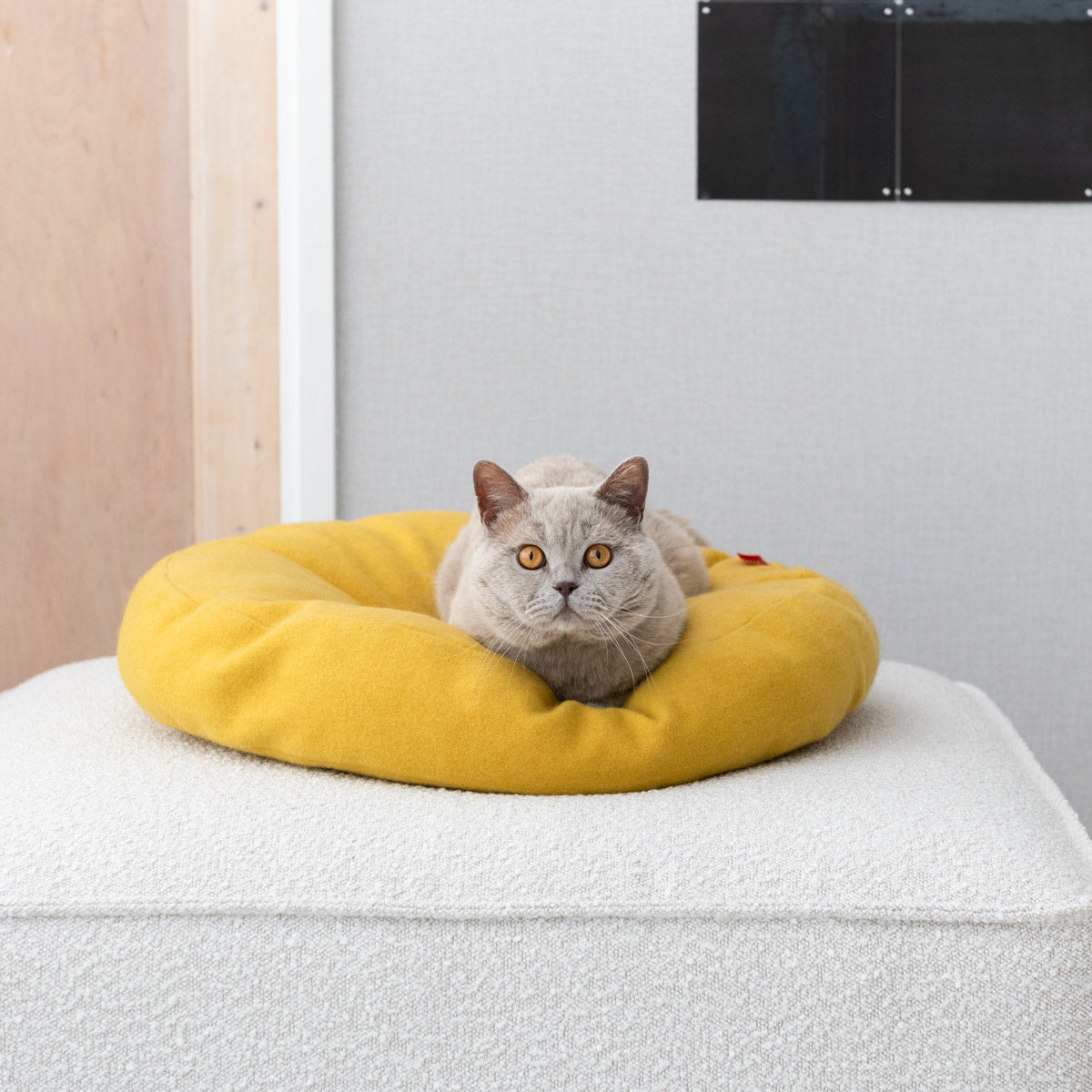 Hoopo Donut - Katzenbett - verschiedene Farben
