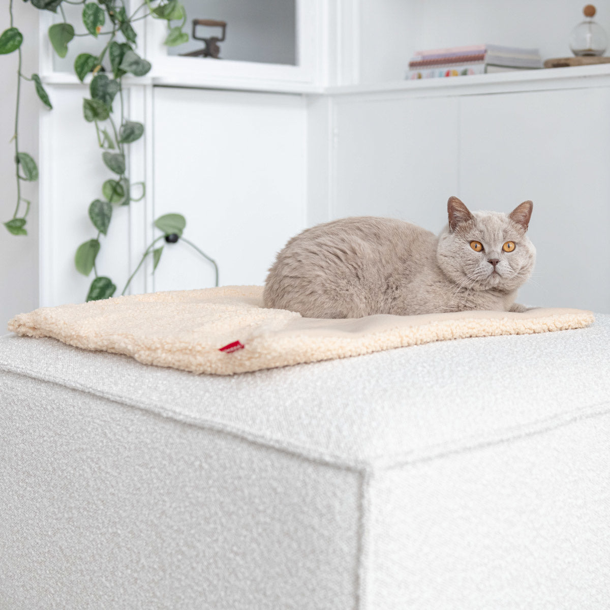 Hoopo Tri - Katzendecke - verschiedene Farben