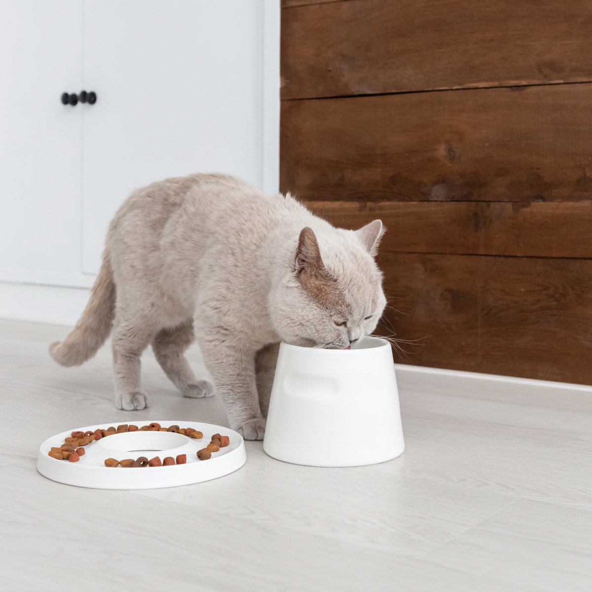 Hoopo Tower Ergonomischer Feeder - Weiss