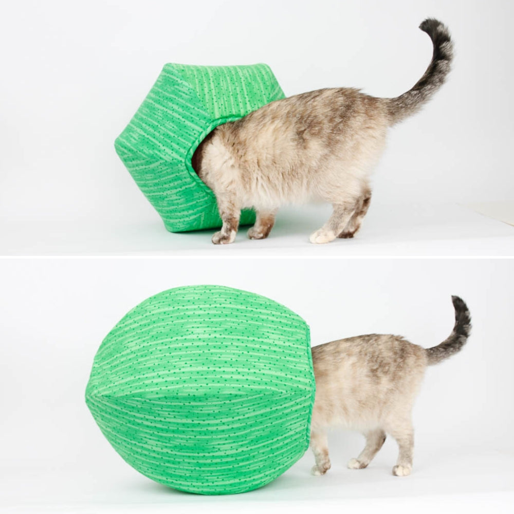 The Cat Ball Abstract Watermelon