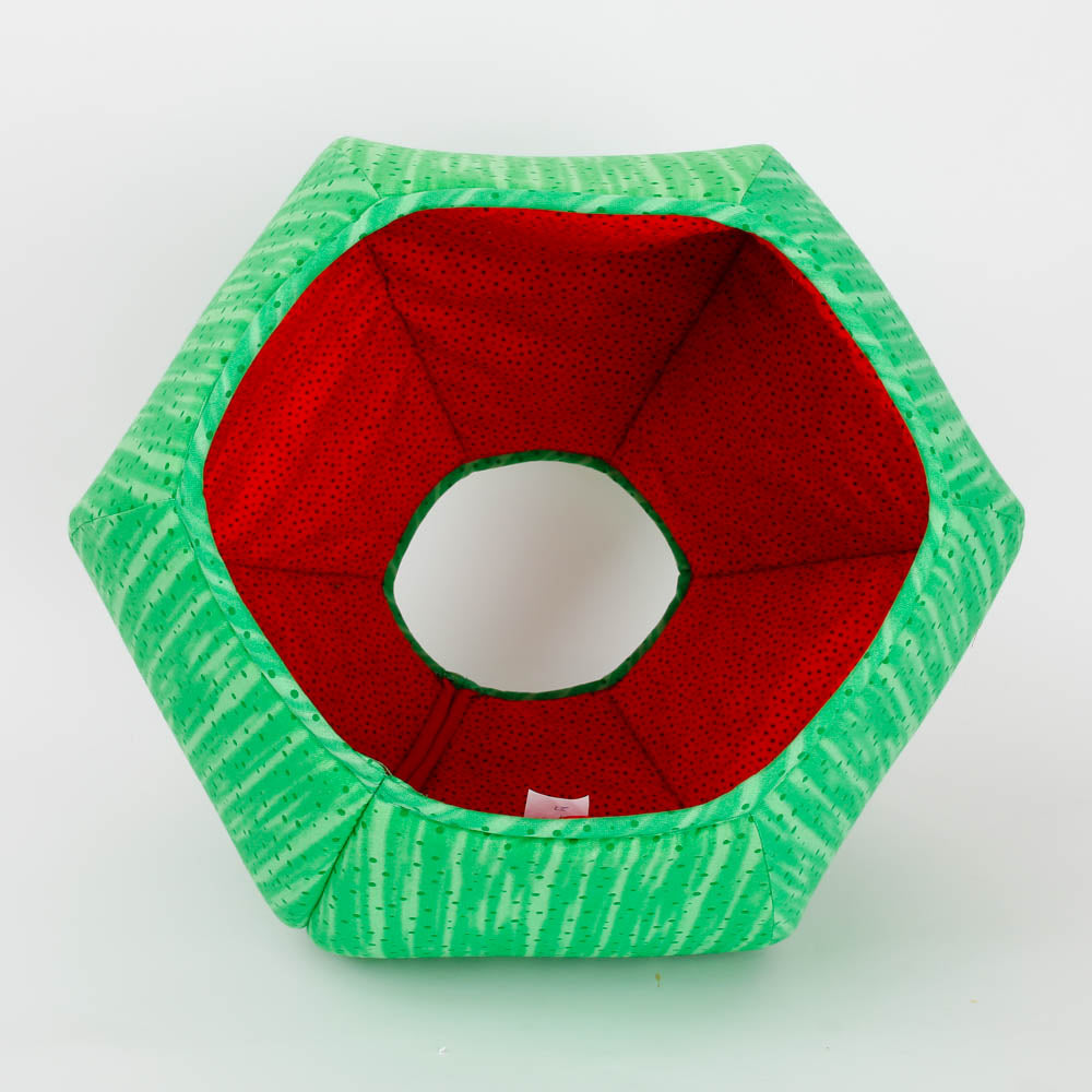 The Cat Ball Abstract Watermelon