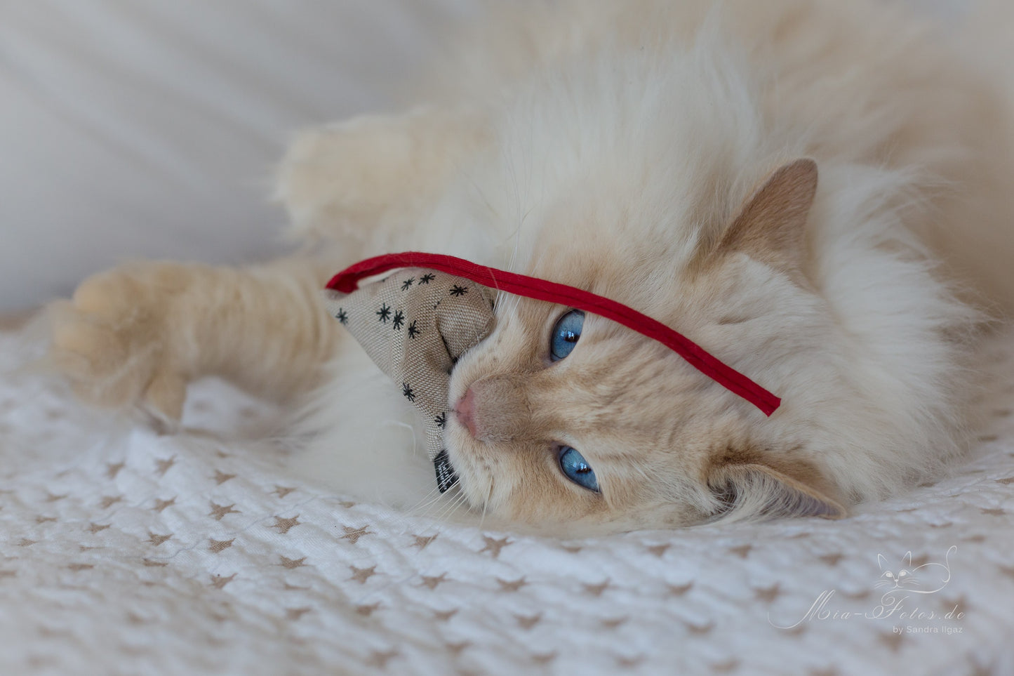 santas candy bag (Baldrian)