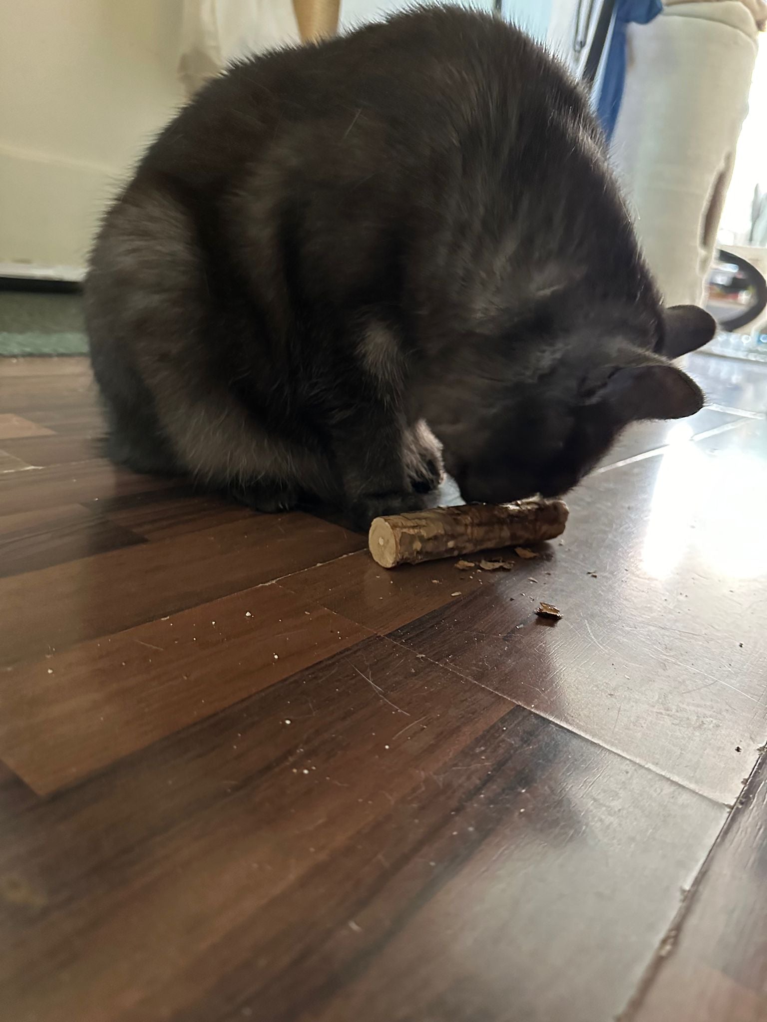 ultra - XXL Matatabi-Sticks