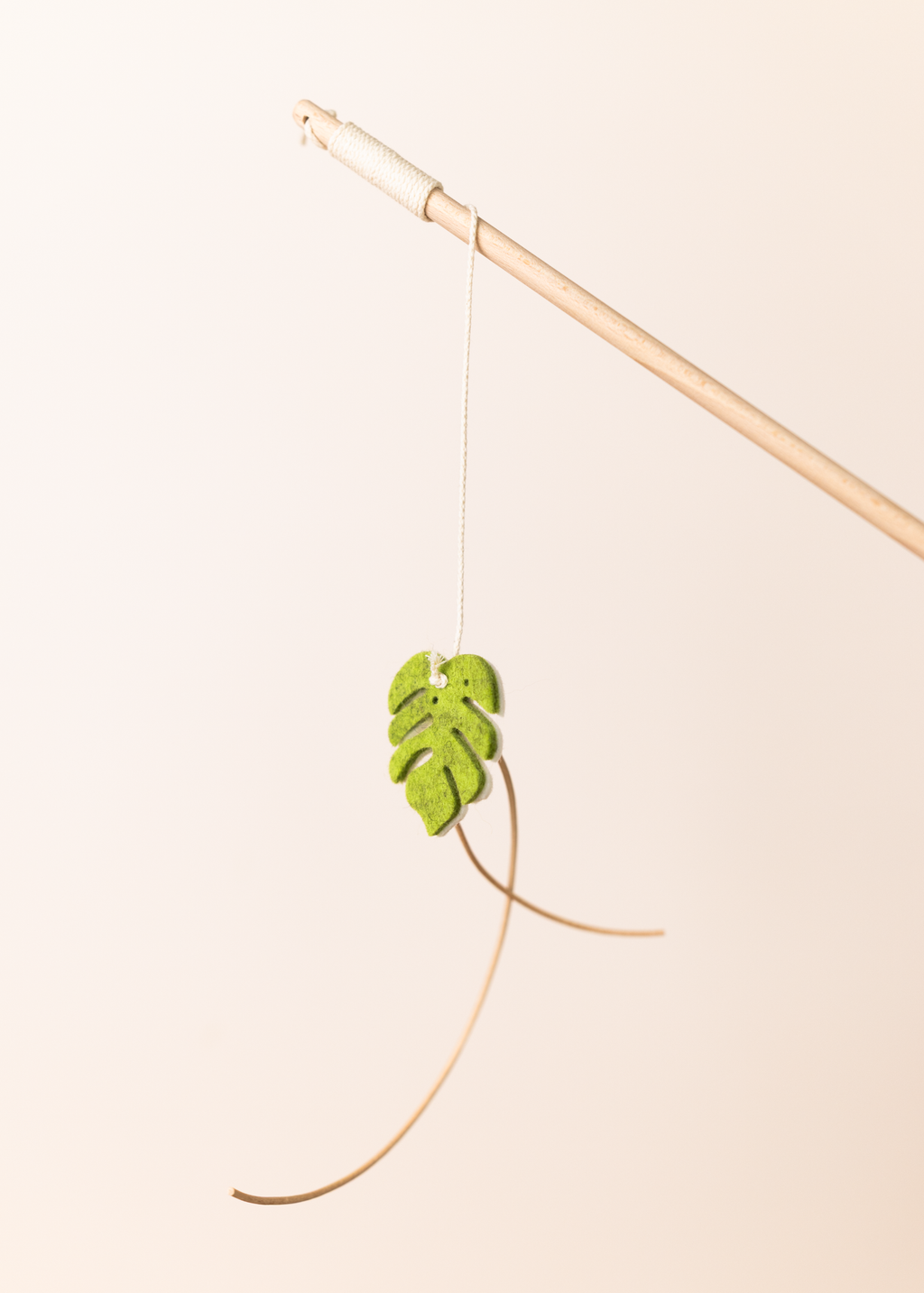 Spielangel monstera dance