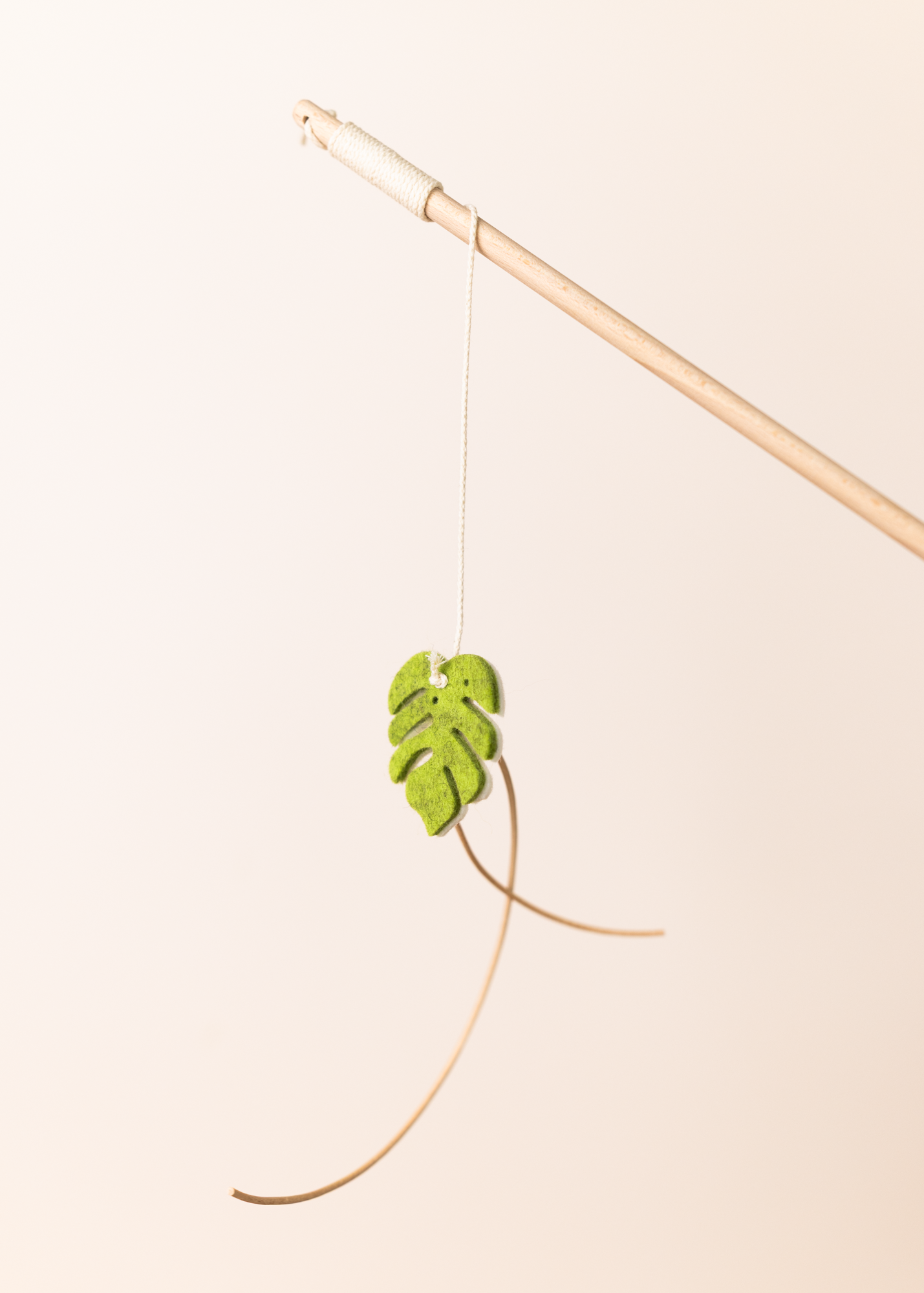Spielangel monstera dance
