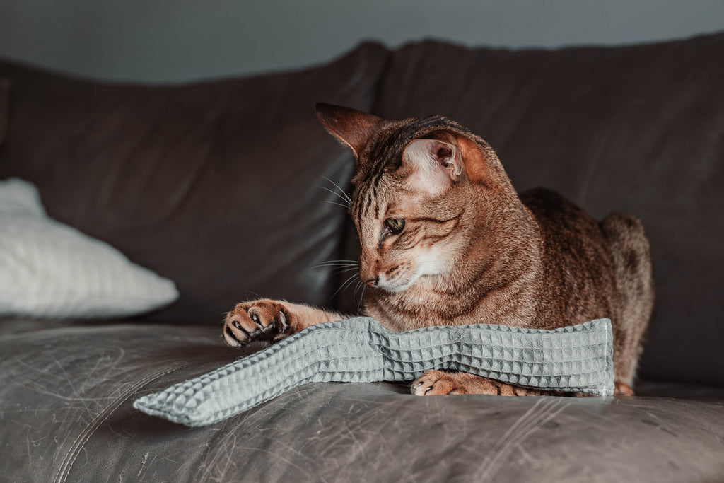 Comeback-Preis: crinky kinky - Knisterrolle mit Catnip (neuer Stoff)