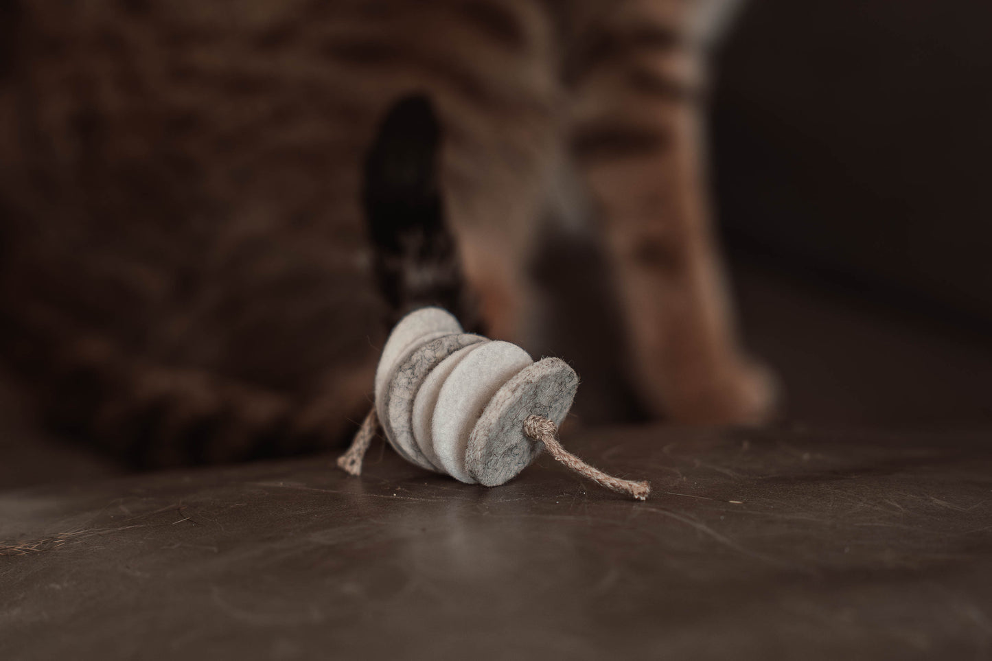 disky (Adventskalender 2025)