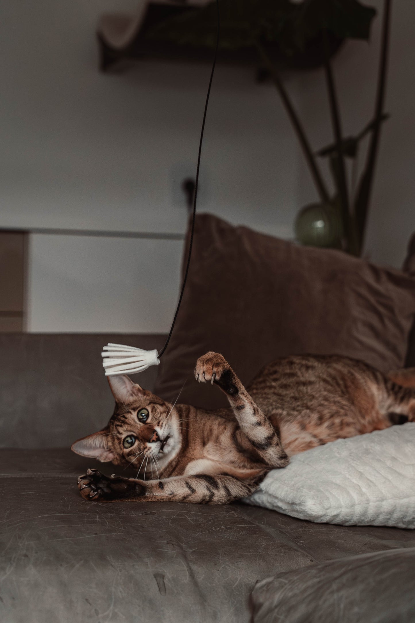 tazzle hunter Spielangel