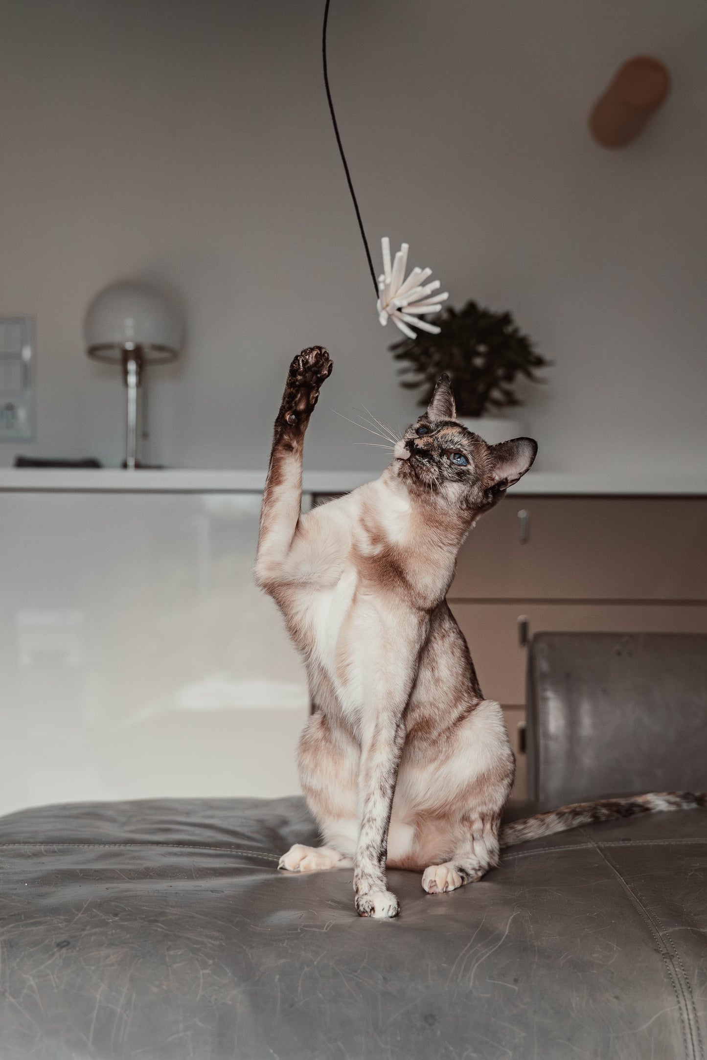 tazzle hunter Spielangel