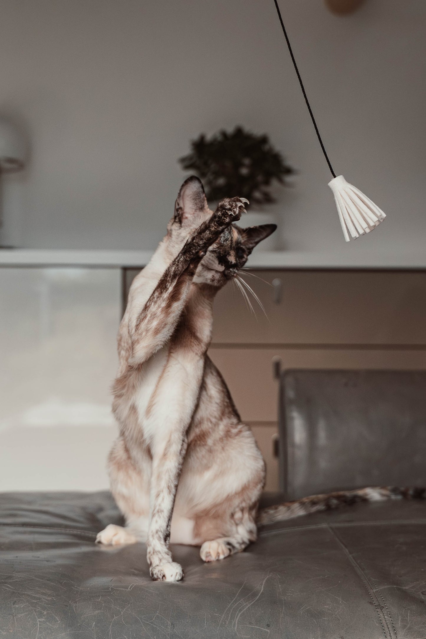 tazzle hunter Spielangel