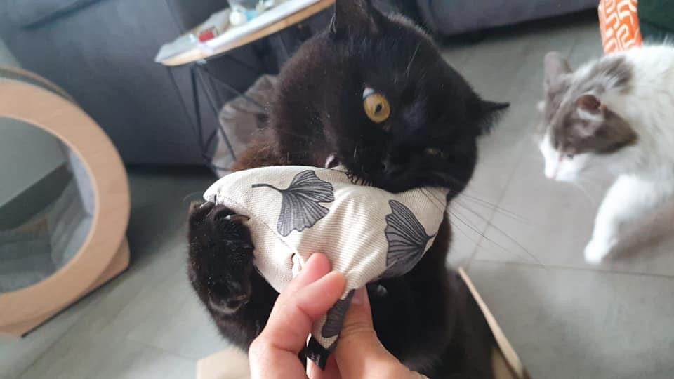 purramid Ginkgo (Baldrian + Catnip)