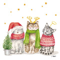 Sacred Cats Napkin 33x33