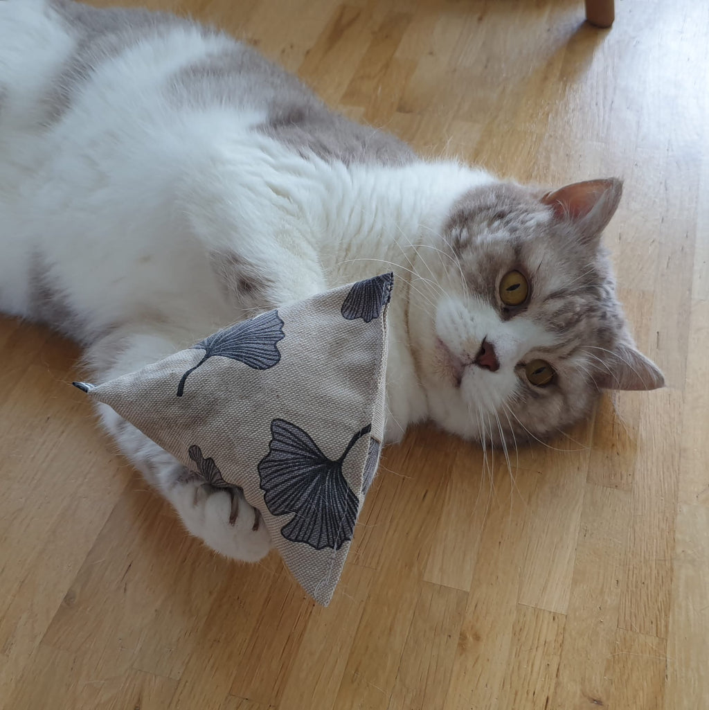 purramid Ginkgo (Baldrian + Catnip)