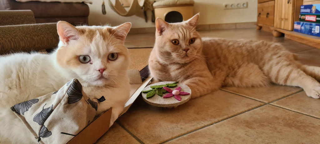 purramid Ginkgo (Baldrian + Catnip)