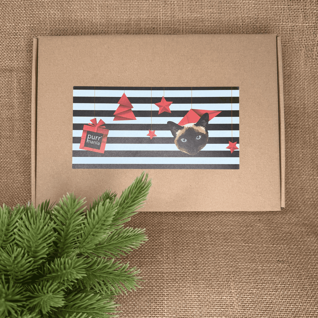 VORBESTELLUNG: Katzen-Adventskalender 2026