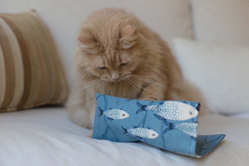 limited: aquarium (Catnip + Knister)