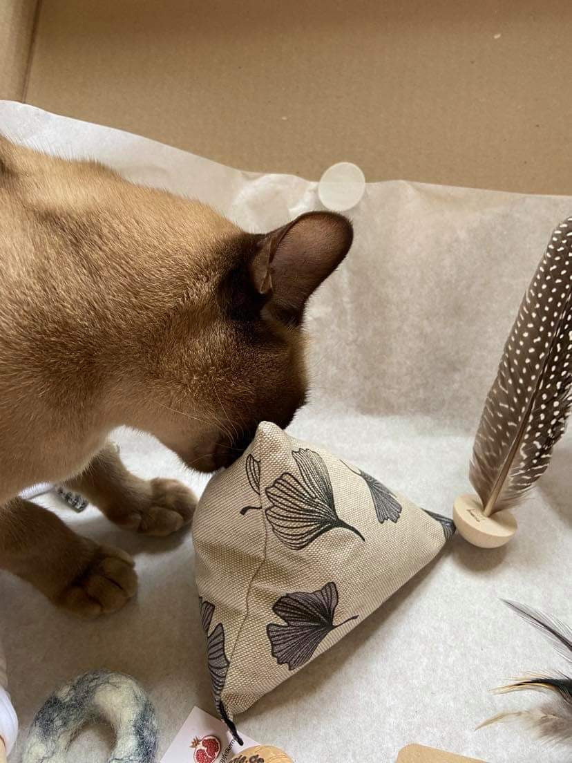 purramid Ginkgo (Baldrian + Catnip)