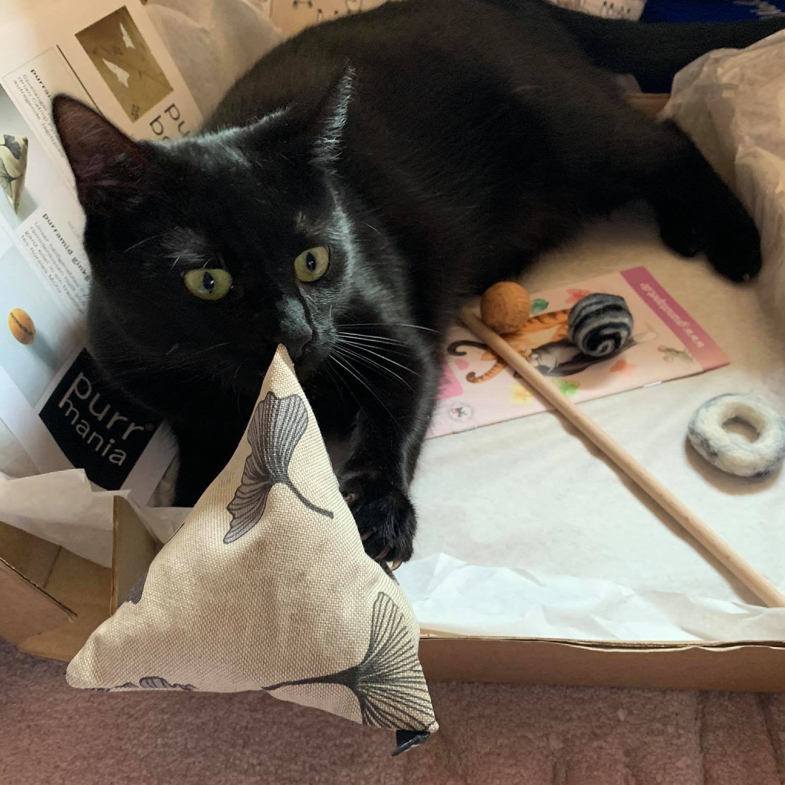 purramid Ginkgo (Baldrian + Catnip)