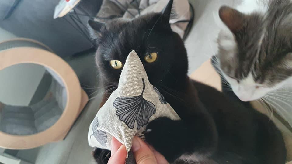 purramid Ginkgo (Baldrian + Catnip)