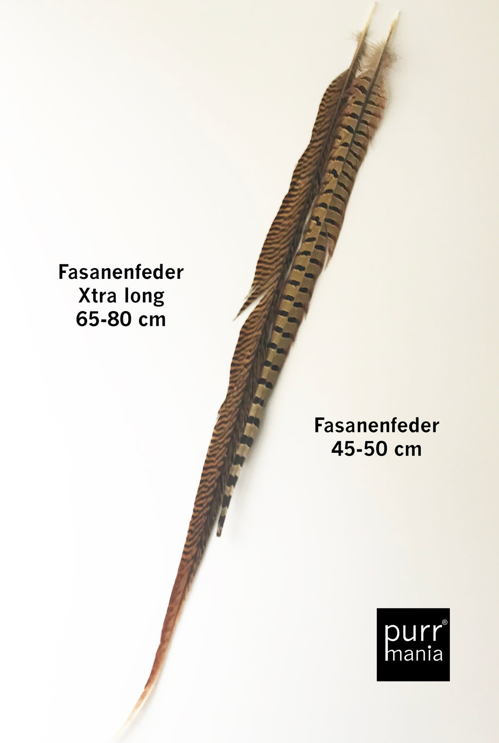 Fasanenfeder Xtra long