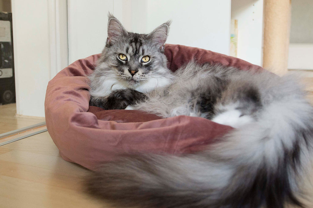 Katzenkörbchen Fluco, Designed by Lotte pink