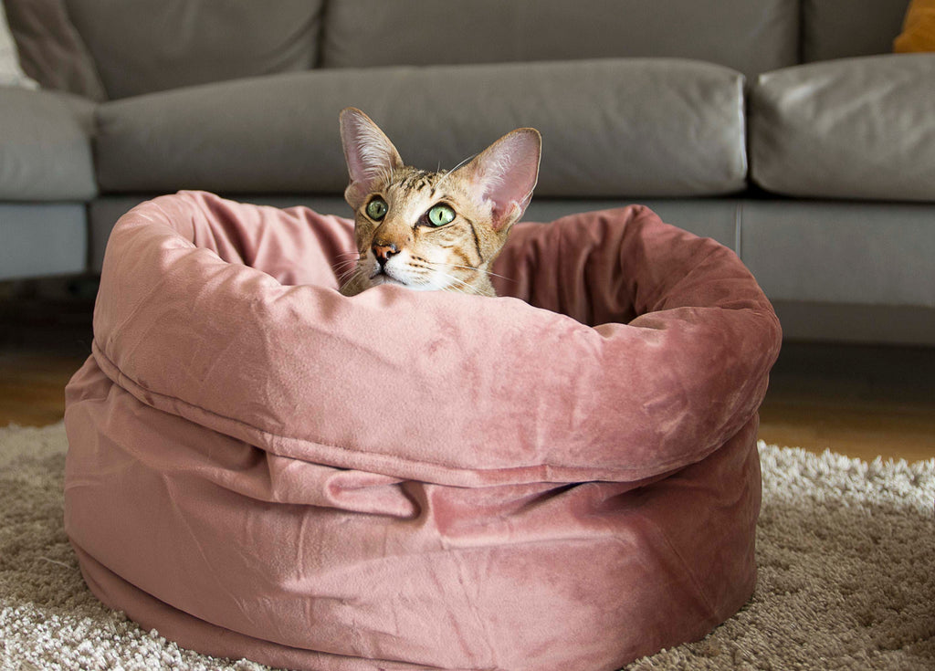 Katzenkörbchen Fluco, Designed by Lotte pink