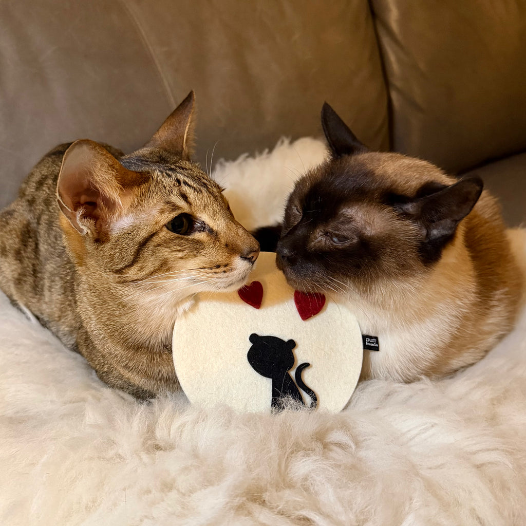 strictly limited: wooly love meow (Catnip)