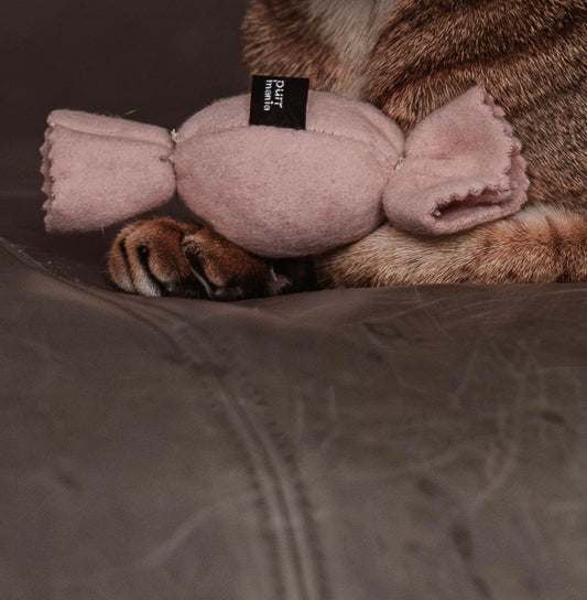 purrbon - Baldrian (Adventskalender 2025)