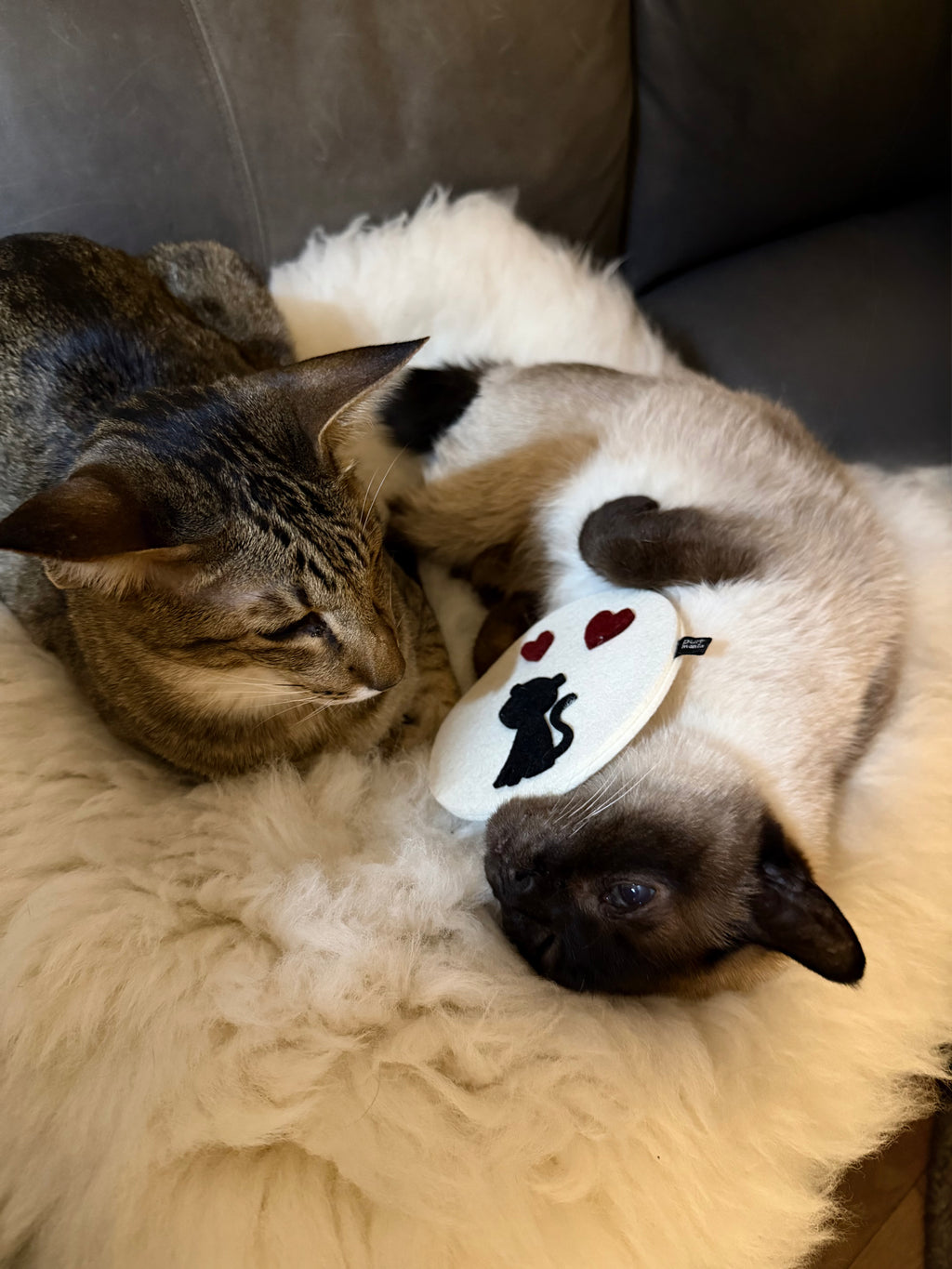 strictly limited: wooly love meow (Catnip)