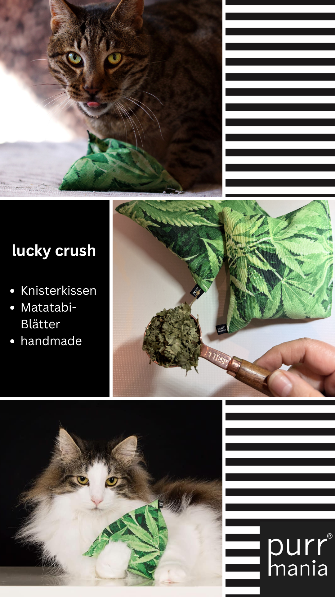 lucky crush Knisterkissen mit Matatabi-Blättern