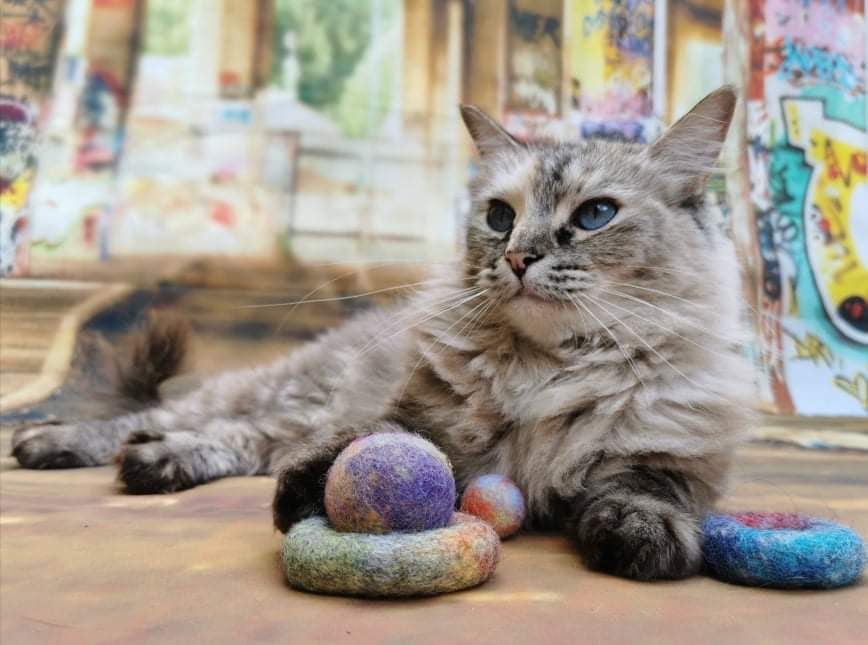 Graffiti Edition: Filz-Set 4 Teile