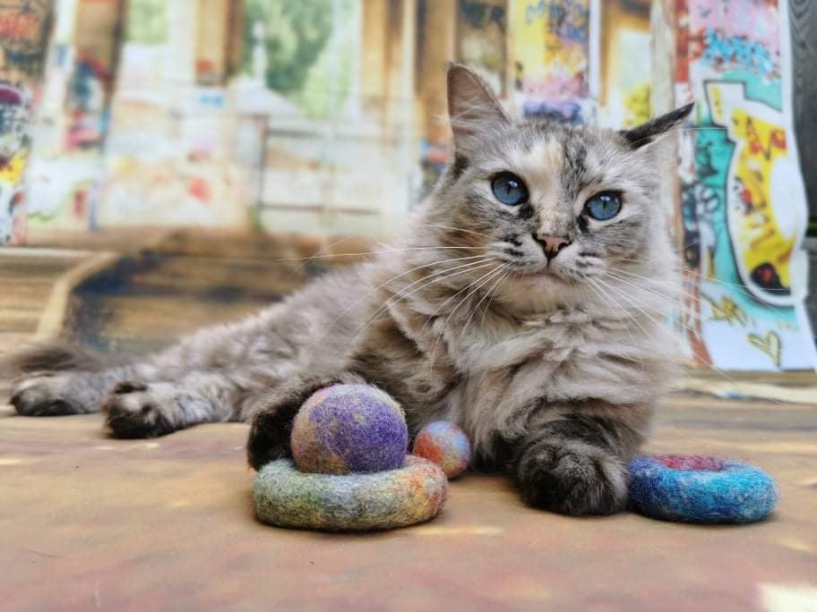 Graffiti Edition: Filz-Set 4 Teile