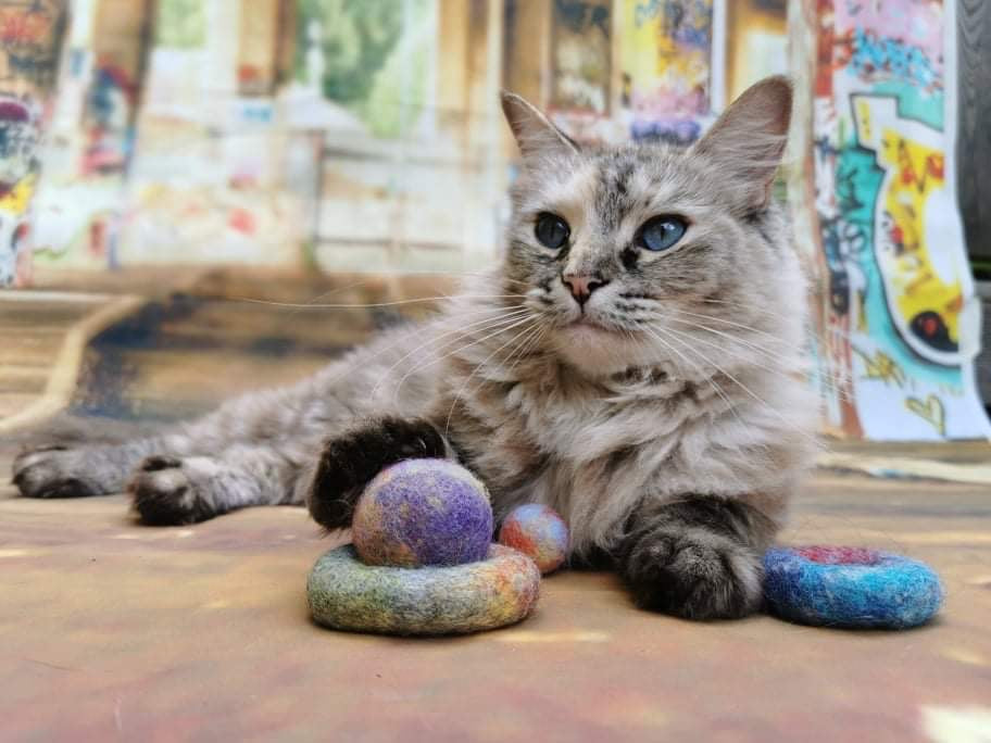 Graffiti Edition: Filz-Set 4 Teile