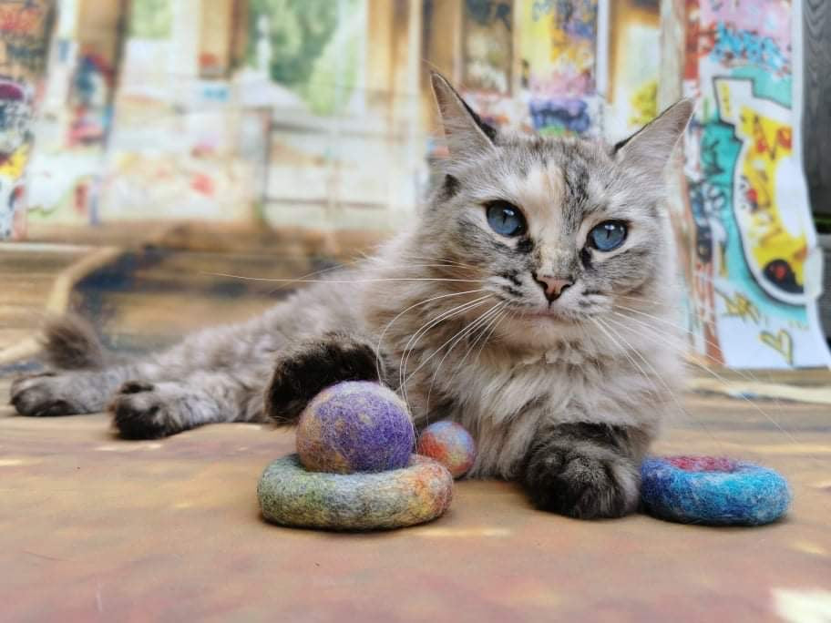 Graffiti Edition: Filz-Set 4 Teile